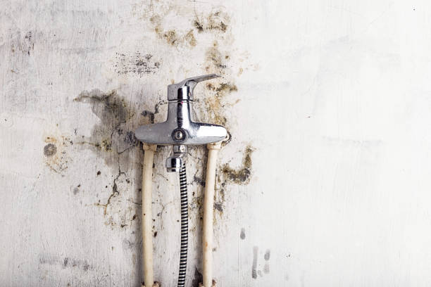 Best Water Damage Restoration  in Celina, TX