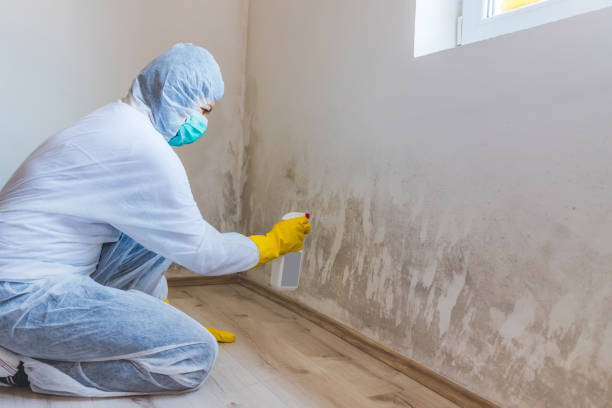 Best Mold Removal Process  in Celina, TX