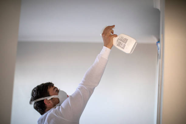Best Residential Mold Removal  in Celina, TX