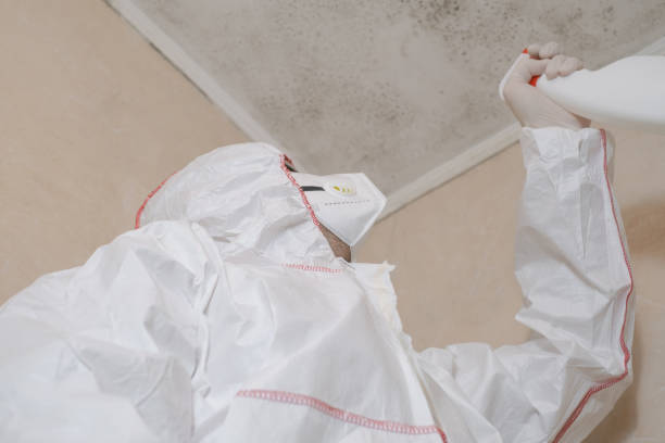 Best Mold Damage Repair  in Celina, TX